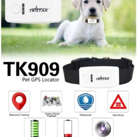 Meilleur GPS pour animaux TK909 chiens et chats à petit prix