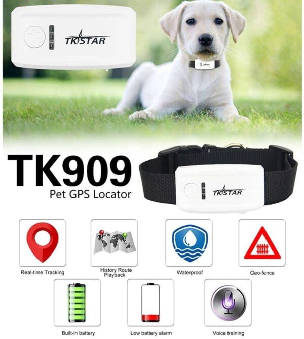 Meilleur GPS pour animaux TK909 chiens et chats à petit prix